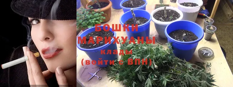 Каннабис SATIVA & INDICA  как найти наркотики  Йошкар-Ола 